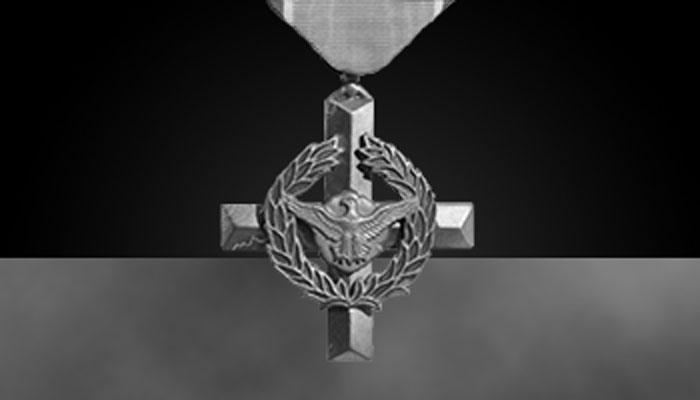 Air Force Cross (greyscale)
