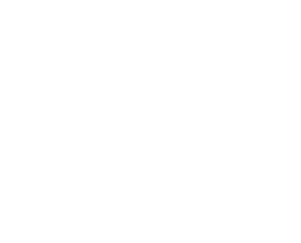 Silhouette of soldier saluting