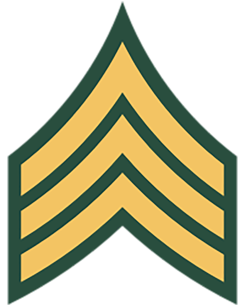 Army First Sergeant Logo Hot Sex Picture