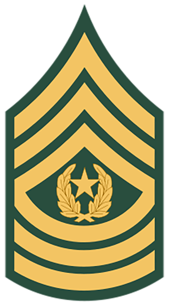 E-9 Command Sergeant Major