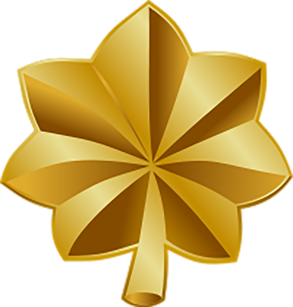 Us Military Rank Insignia