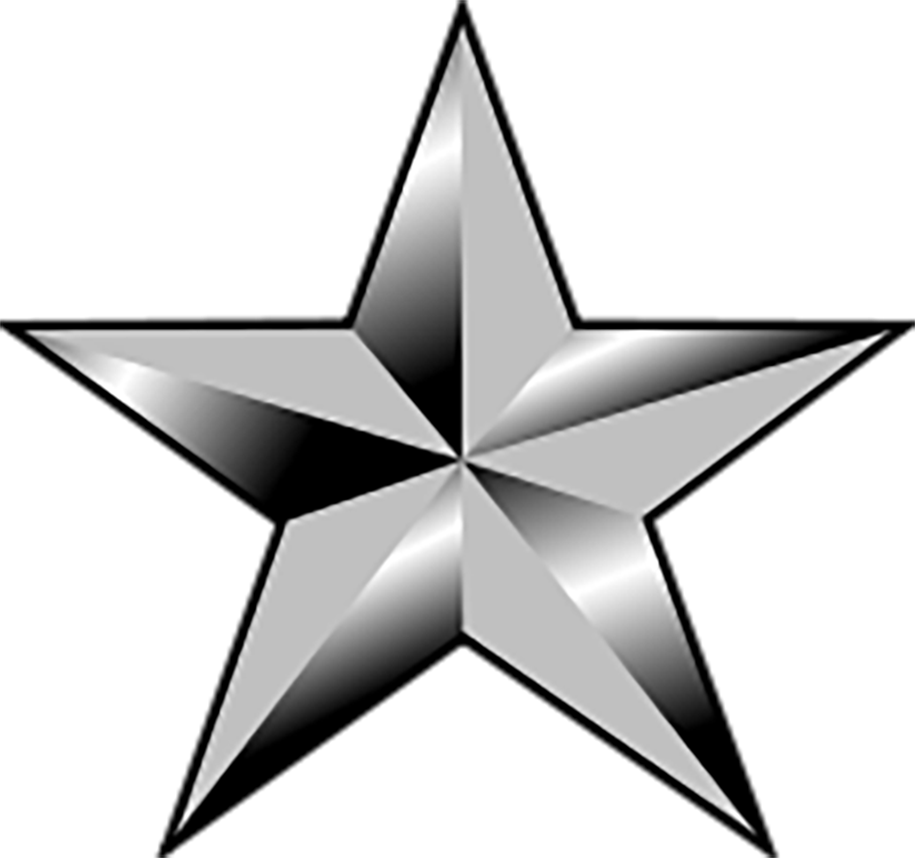 air force brigadier general icon