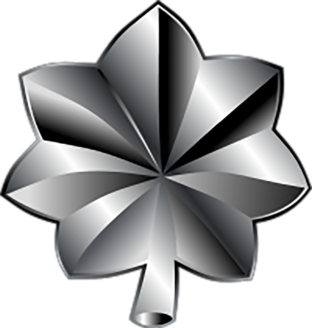 air force lieutenant colonel icon