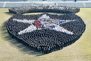 indianhead insignia