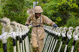 jungle crossing