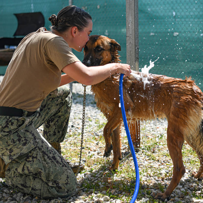 Navy Petty Officer 2nd Class Logann Parker, of her partner Astra