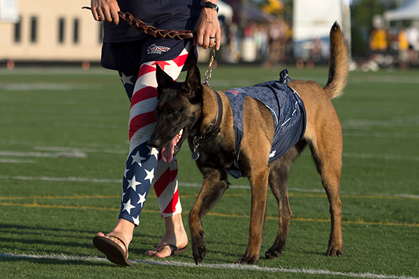 Service dog walking next to owner