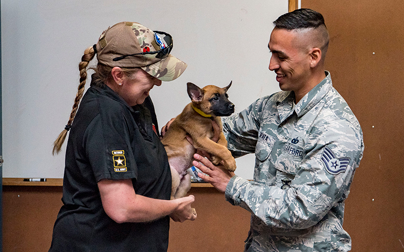 Puppy being held between two people