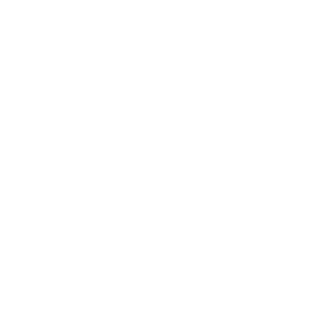 fighter jet icon