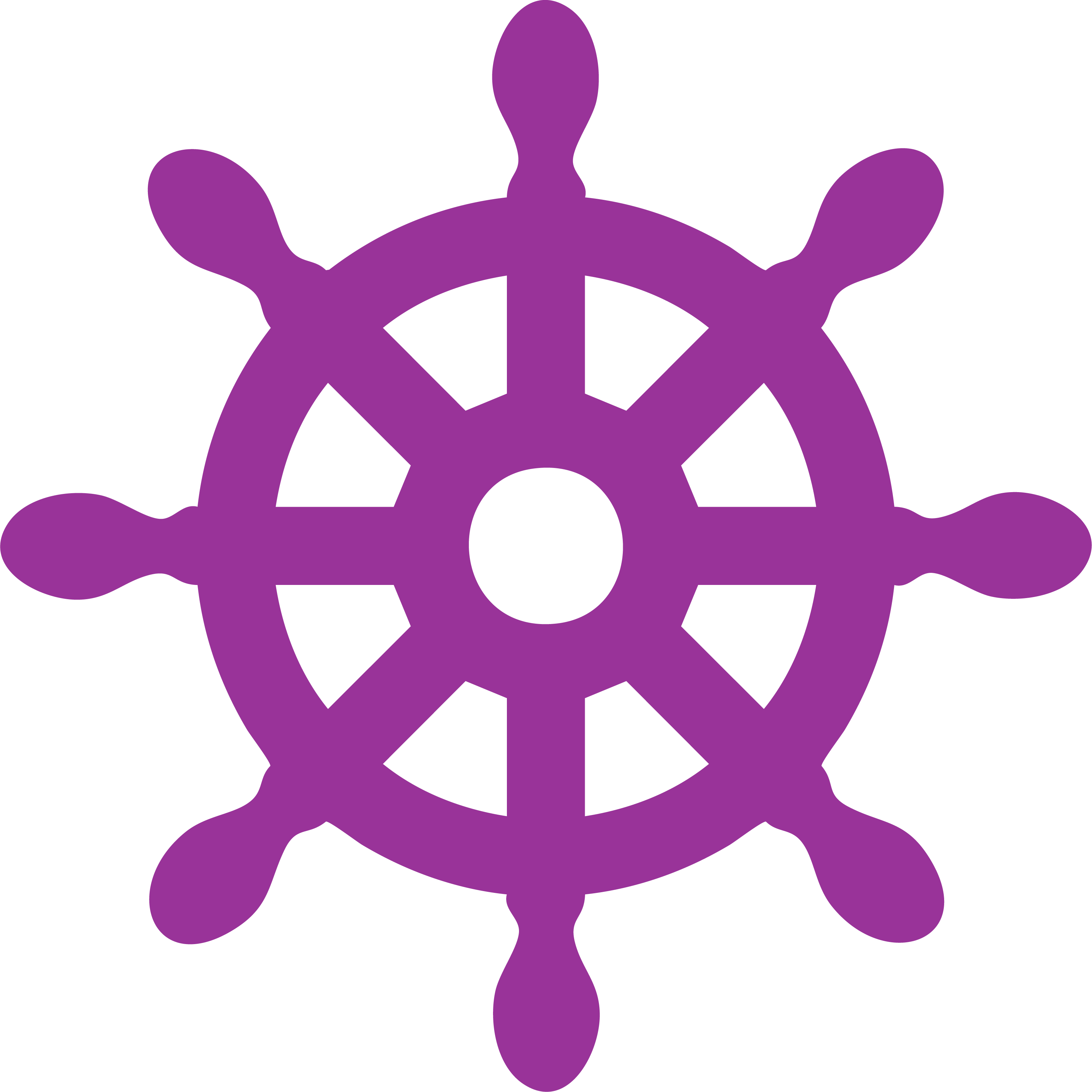Ship Wheel Icon