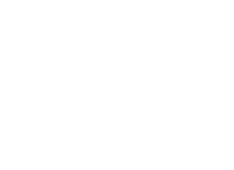 1-Color Light DOD Icon