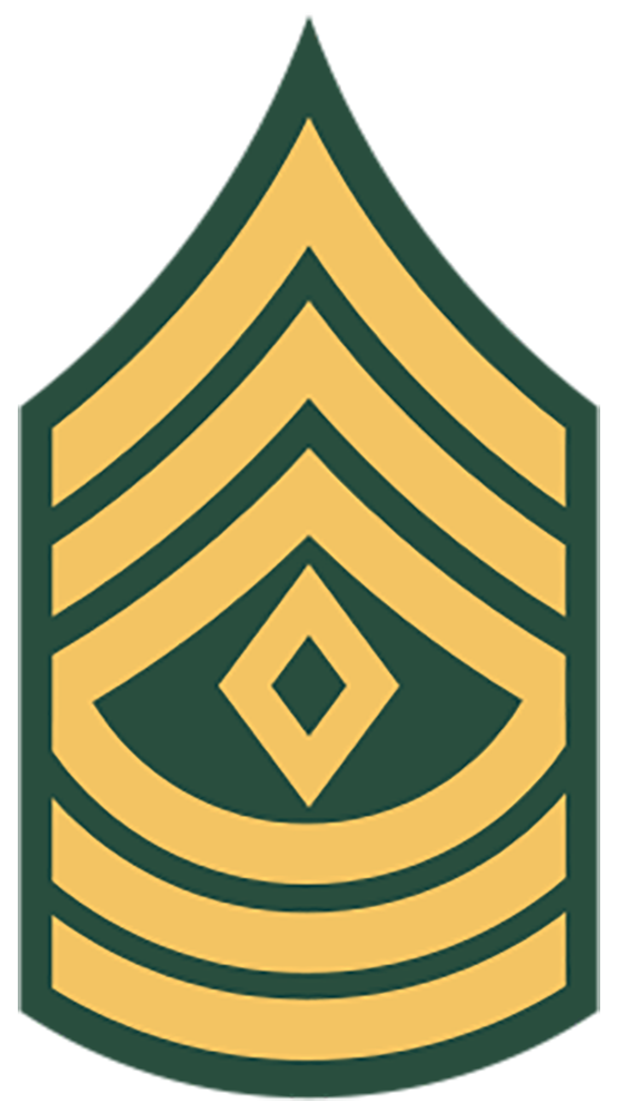 US ARMY SERGEANT E-5 RANK PIN