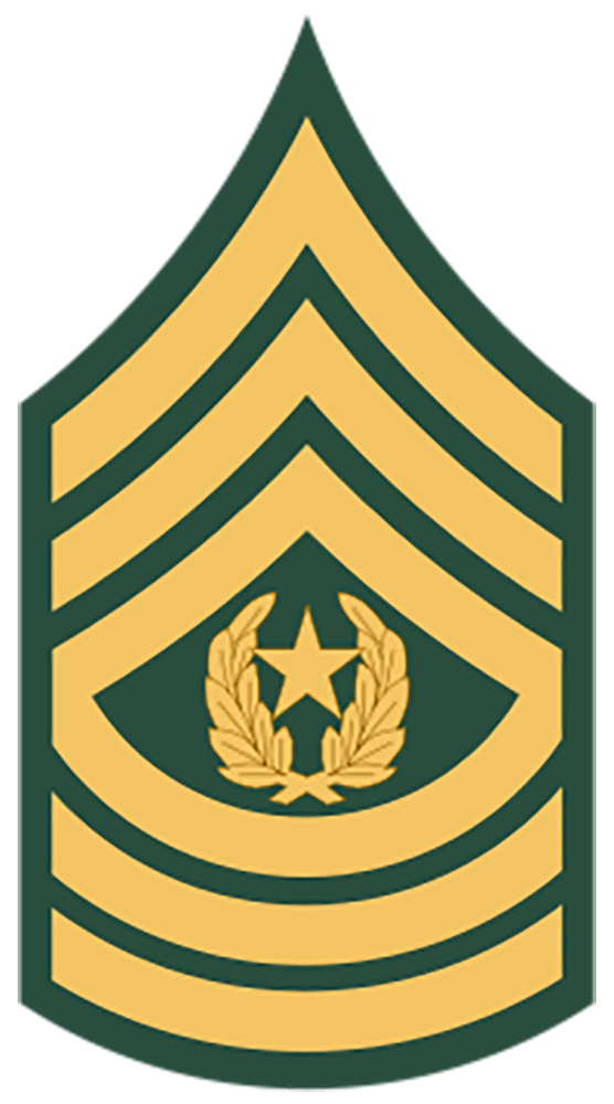 Regimental Sergeant Major Insignia