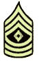 Army 1st SG