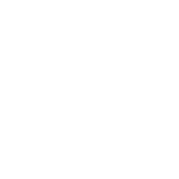 shield with lock protection icon